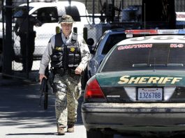 Updated: Pot farm suspect shot by deputies