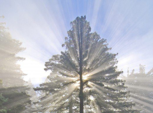 Getting Out: Roaming the Bay Area’s open spaces