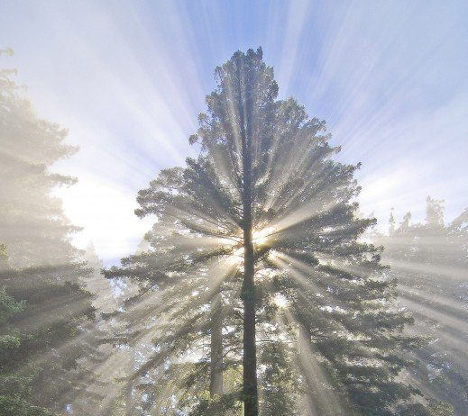 Getting Out: Roaming the Bay Area’s open spaces