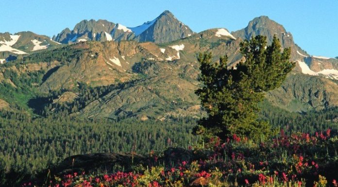 GETTING OUT: ‘Gotta’ see scenic eastern Sierras in the summer