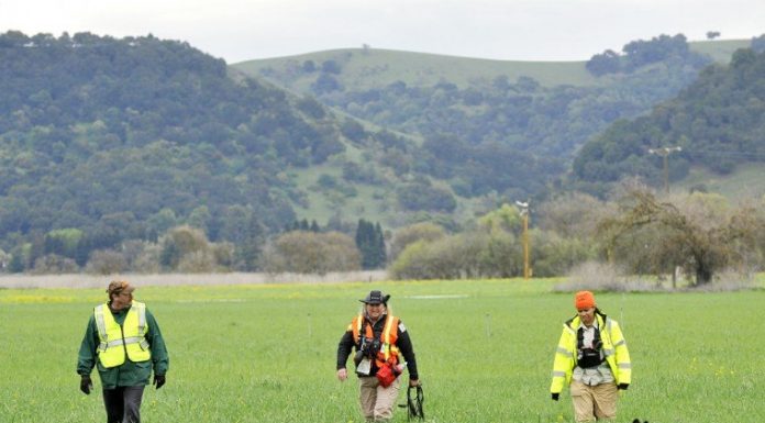 Search for Sierra resumes this week