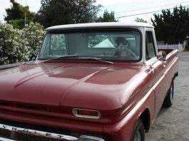 Pet Friends at Hollister Street Festival