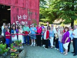 The Barn at Hoey Ranch grand opening