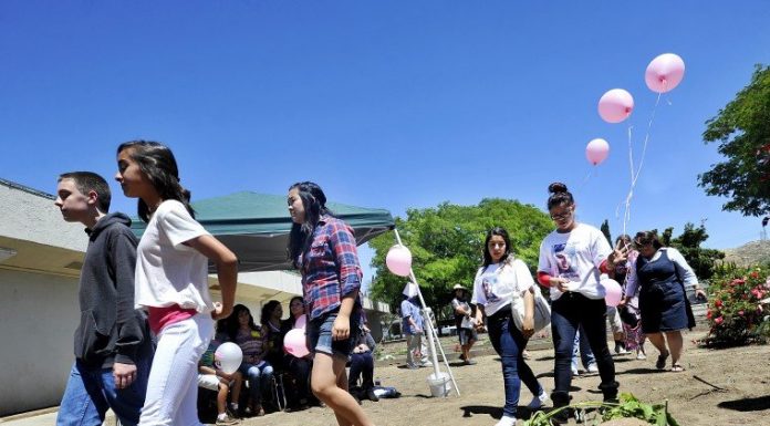 Judge to decide on uncensored police reports in Tara Romero case