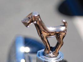 Garlic City car show revs up Saturday