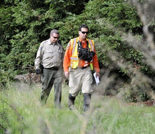 Sierra searchers: We need more info