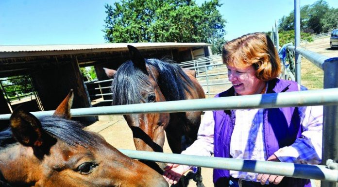 Back in the saddle again