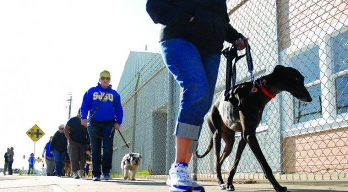 Local dog trainer should be ‘CNN Hero of the Year,’ supporters say