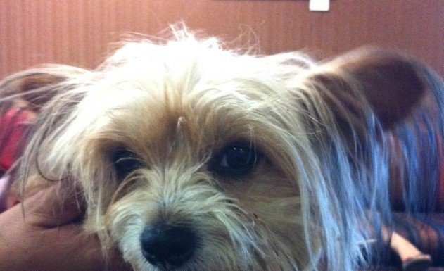 Fighting over what to do with River