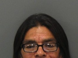 Puppy killer and 12-time felon gets six years in prison