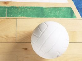 VOLLEYBALL: CHS coach steps down, Cougars lose to Anzar
