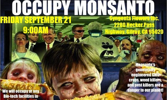 Protest planned: seeds in dispute