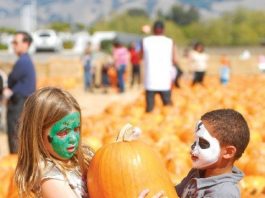 First-ever Gourd Festival at Uesugi Farms
