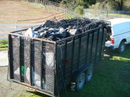 Sheriffs destroy illegal marijuana gardens in Gilroy and Morgan Hill
