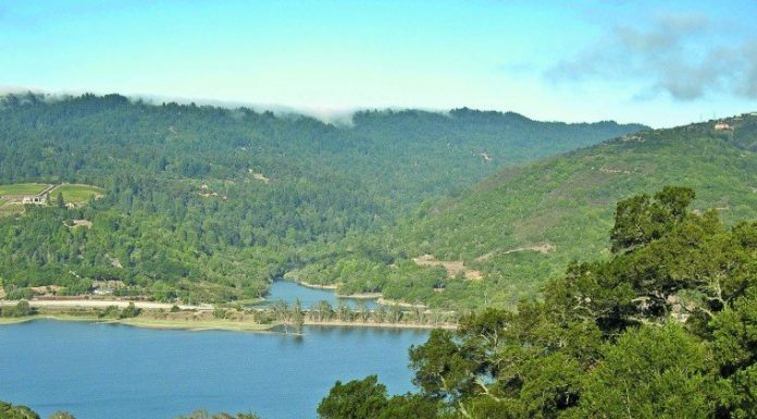 GETTING OUT: Hiking the Sierra Azul