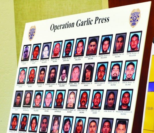 Forty-three Garlic Press criminals sentenced