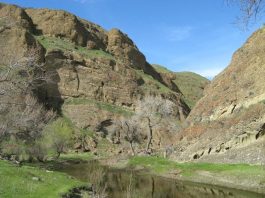 Popular “Path of the Padres” hikes to resume soon