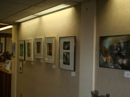 Finding beauty in unexpected places