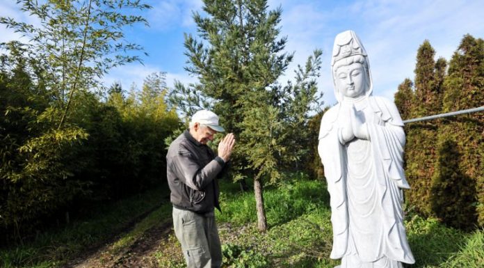 Japanese garden to blossom with temple