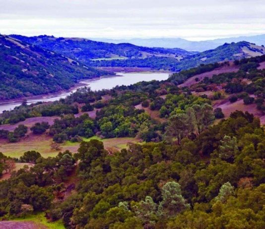 GETTING OUT: Discovering a Harvey Bear Ranch gem