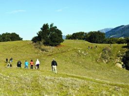 GETTING OUT: New Year’s hike a success