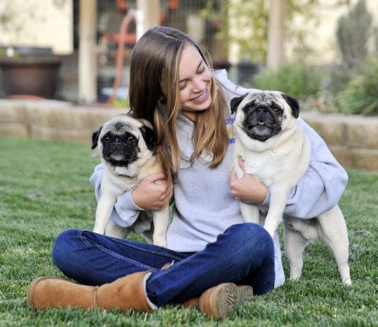 Showmanship comes in all sizes