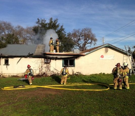 Flower shop falls to fire, cause unknown