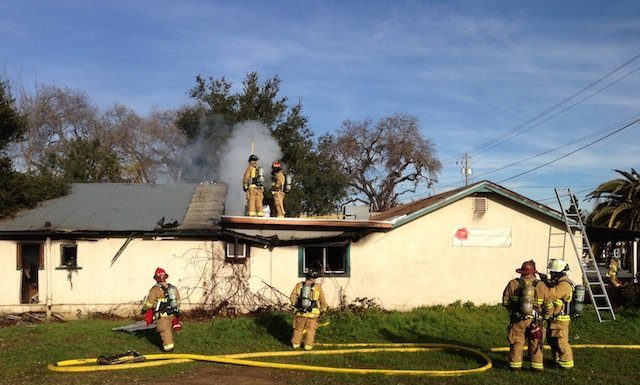 Flower shop falls to fire, cause unknown