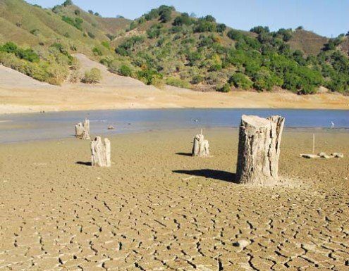 Drier-than-average rain season adds financial pressure for farmers