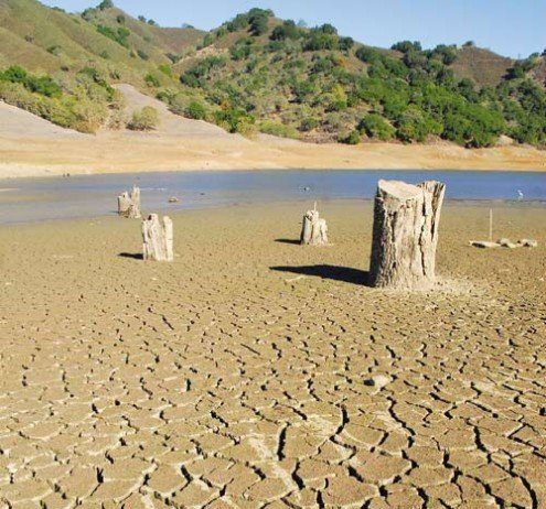 Drier-than-average rain season adds financial pressure for farmers