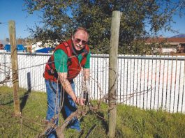 Vines may be dormant, but wineries are bustling