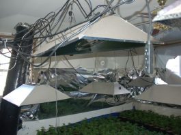 Officers bust indoor growing operation worth $600,000