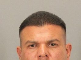 Wanted man arrested after fleeing from police