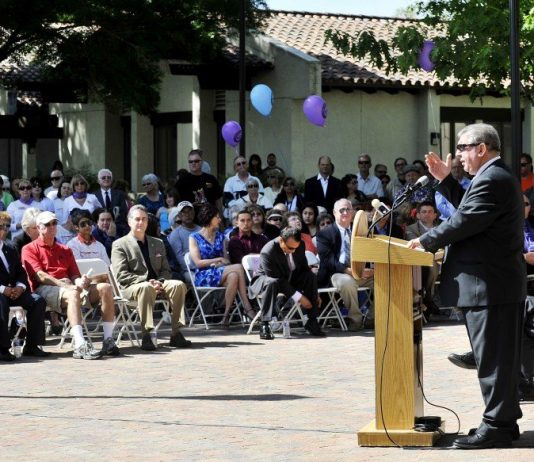 Two parking birds with one stone?