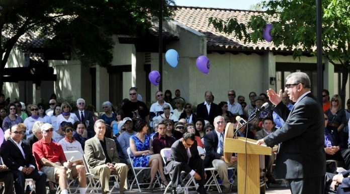Two parking birds with one stone?