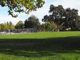 Police buckling down on park crimes