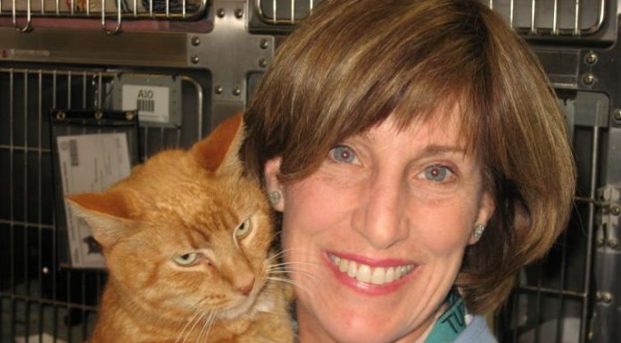 Consider Us! We’re Senior Plus!