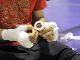 Commentary: Guerrero an icon in native Gilroy