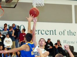 Hoops: Rocheleau leads MBL honors for Cougar boys