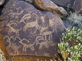 Getting Out: Mojave Desert full of surprises