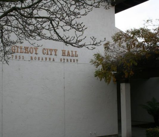 Vacant seat on Arts and Culture Commission