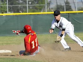 Baseball: Cougars on rise, eye CCS playoff spot