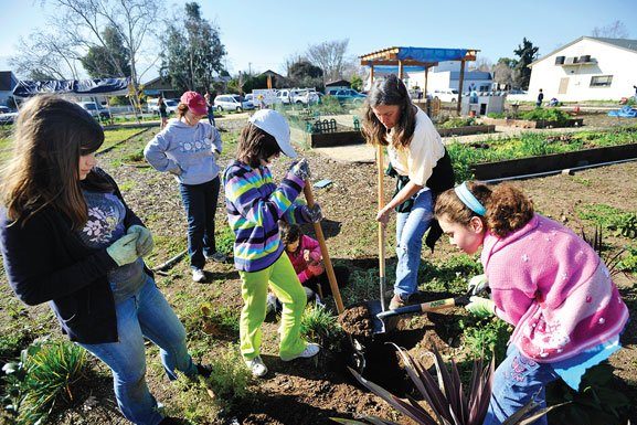 Demonstration Garden’s third annual seedling sale