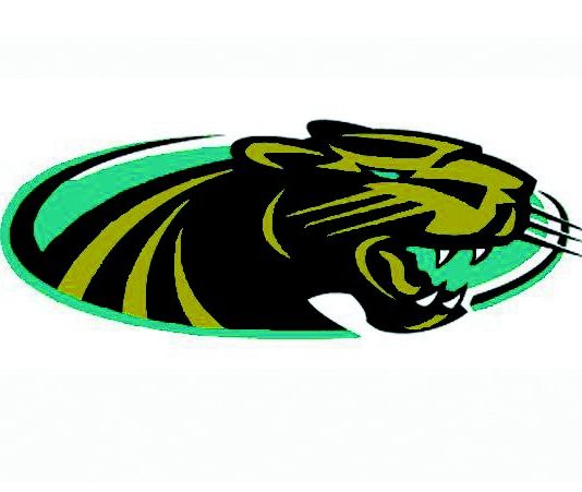 Volleyball: Salcedo, CHS boys sweep Gonzales