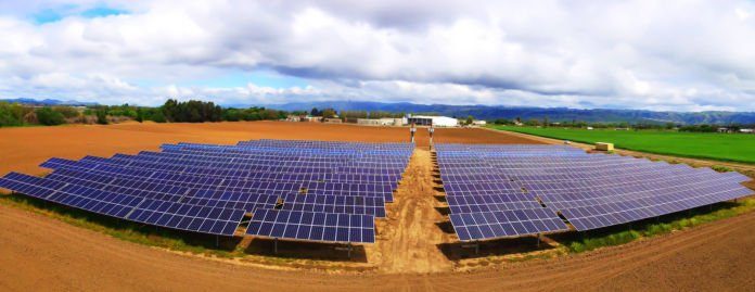 Uesugi Farms unveils solar panels