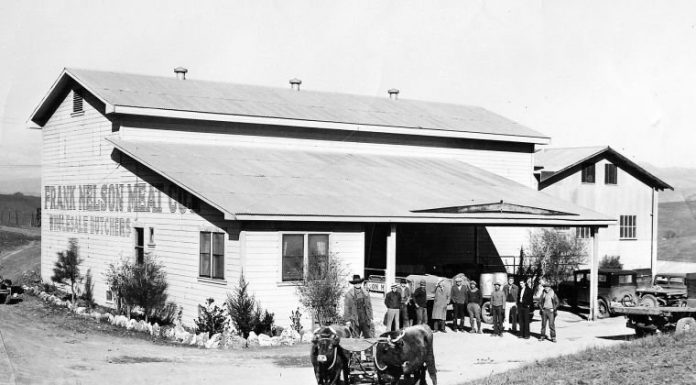 A century packed with fun, hard work