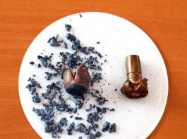 Lead: A toxic threat to wildlife and humans