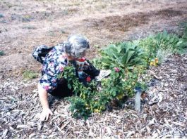 ‘In my mother’s garden…I listen closely to her heartbeat – and hear my own.’