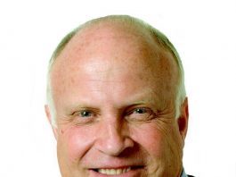 Moooove over cats and dogs, it’s time for bovine