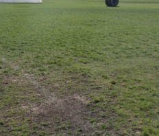 CHS sports complex: Full steam ahead